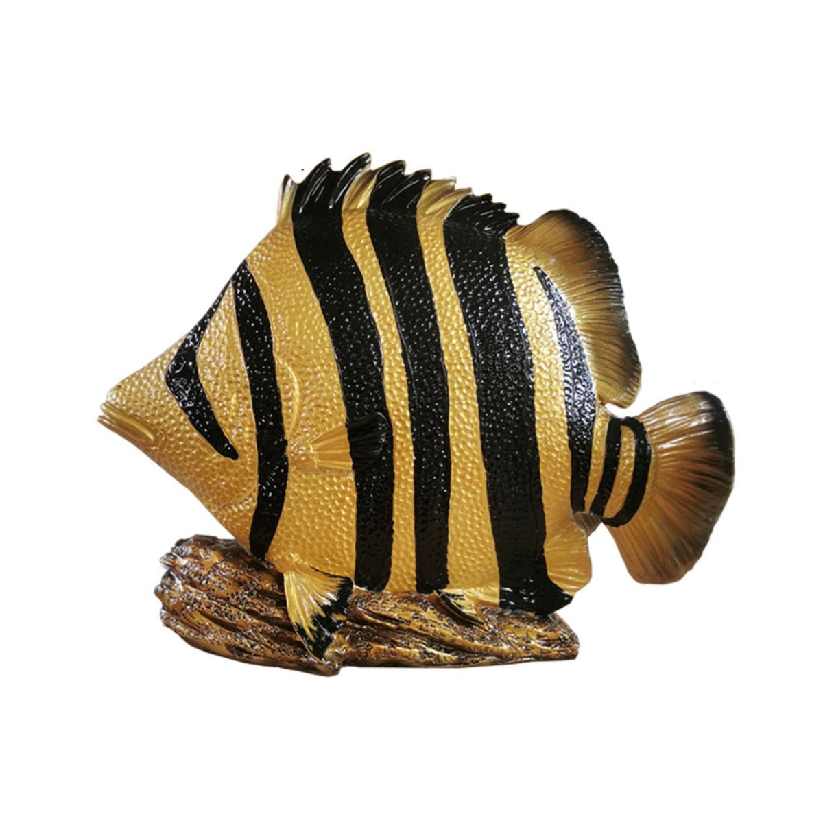 Extra Large Siamese Tiger Fish Wide Bar Datnoid Ornament Figure
