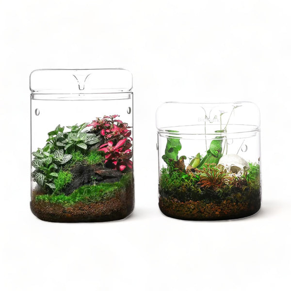 Micro Terrariums BIOLOARK MY-180 -180H Series