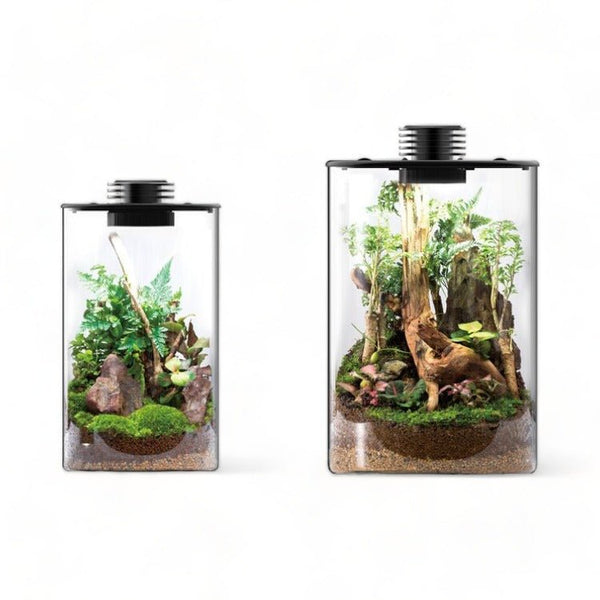 BIOLOARK Cylindrical Terrarium (ZD-150 / ZD-200) With LED - Castle Dawn Aquatics