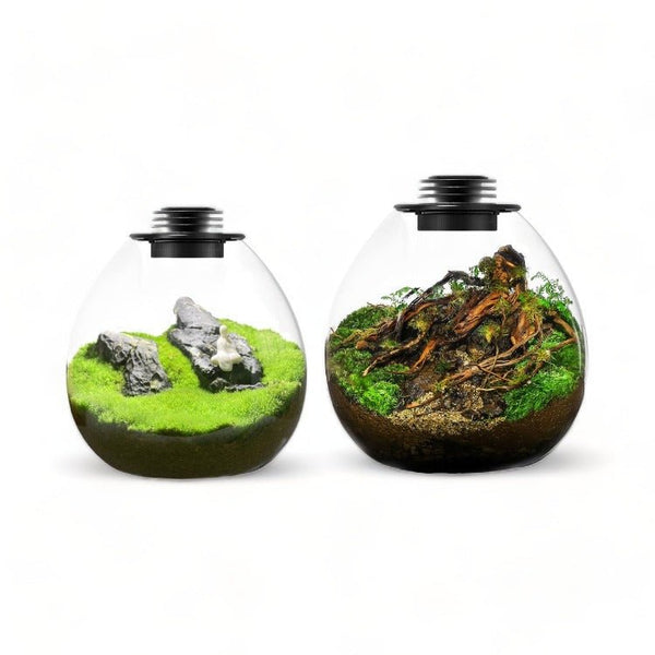 Bubble BIOLOARK Terrarium (PD-170 / PD-210) With LED - Castle Dawn Aquatics