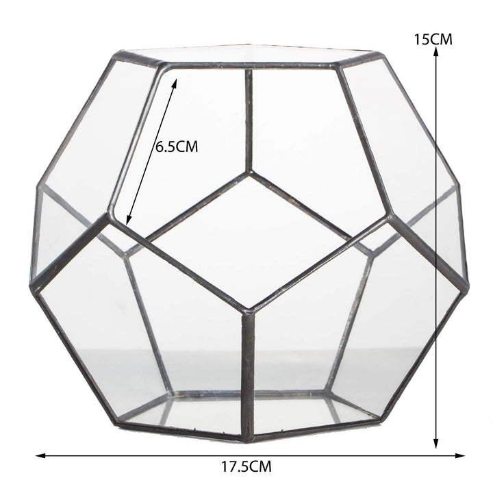 CDA Geometric Glass Open Dome Terrarium - Castle Dawn Aquatics