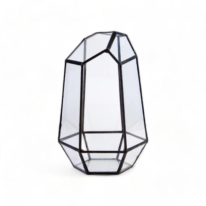 CDA Geometric Glass Open Terrarium - Castle Dawn Aquatics