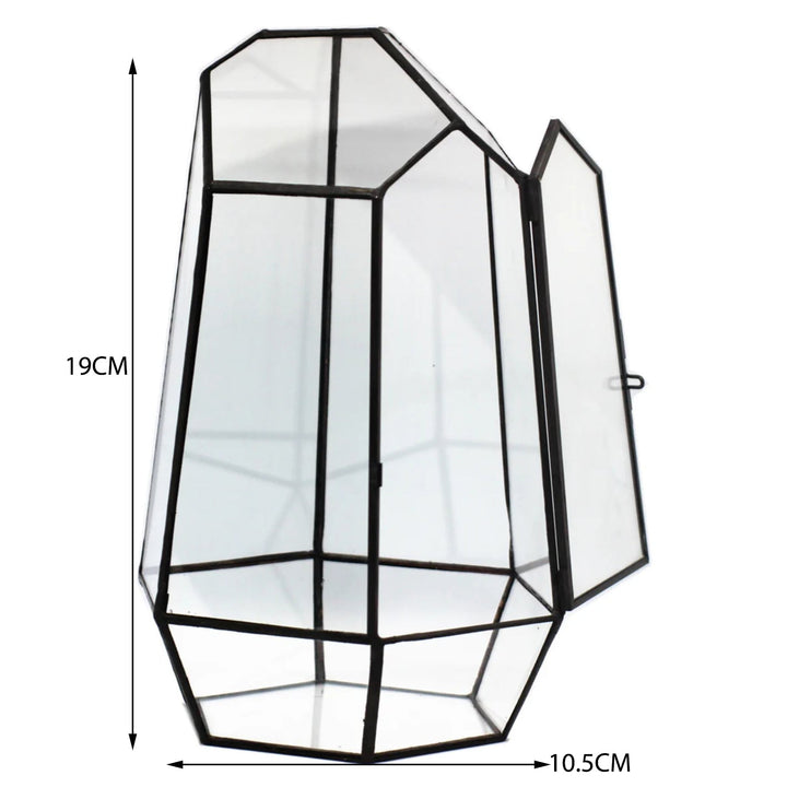 CDA Geometric Glass Open Terrarium - Castle Dawn Aquatics