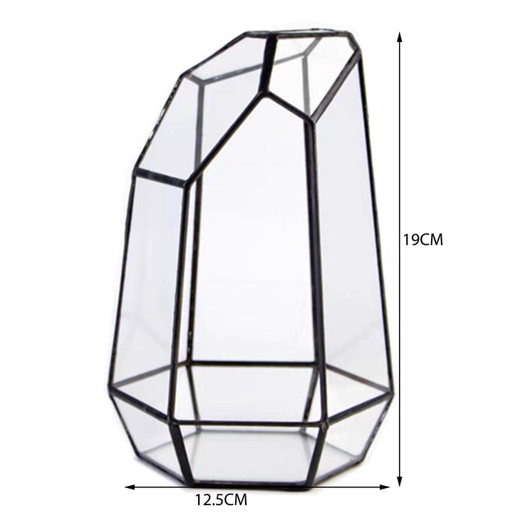 CDA Geometric Glass Open Terrarium - Castle Dawn Aquatics