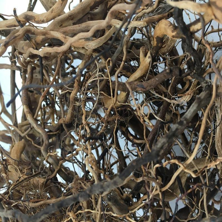 Driftwood Bioactive Accent Roots - Castle Dawn Aquatics