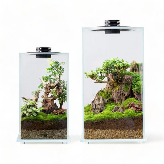 Enclosed BIOLOARK Large Terrarium (FD-200 / FD-250) - Castle Dawn Aquatics