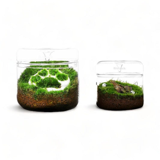 Micro Terrarium BIOLOARK MY-120 -150 Series - Castle Dawn Aquatics