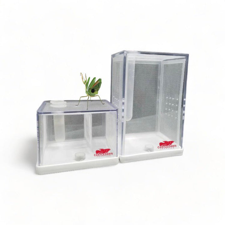 Micro Vivarium Acrylic & Inner Mesh Habitat Enclosure - Castle Dawn Aquatics