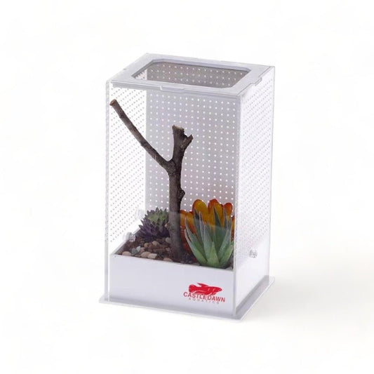 Micro Vivarium Starter Habitat Enclosure - Castle Dawn Aquatics