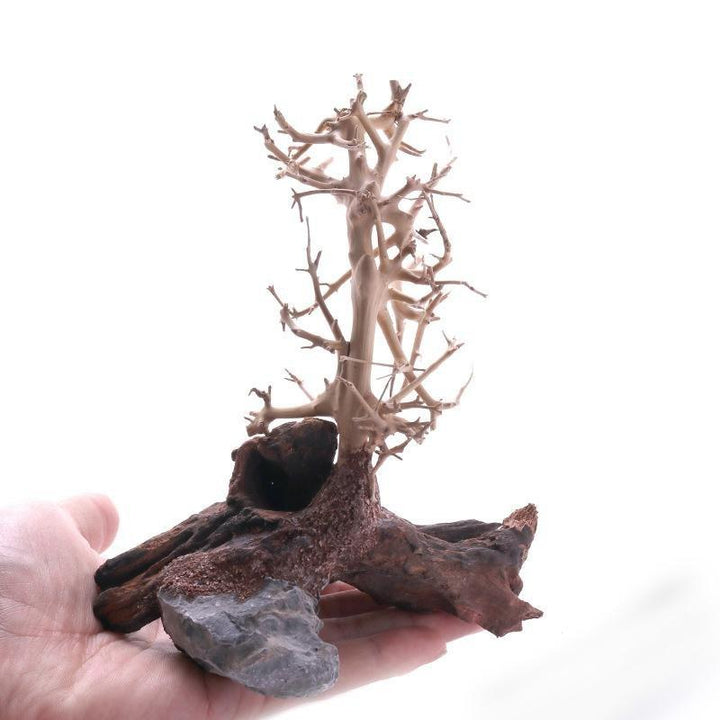 Pre-Made Driftwood Terrarium Tree Set - Castle Dawn Aquatics