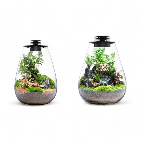 Tear Drop BIOLOARK Terrarium (SD-175 / SD-200) With LED - Castle Dawn Aquatics