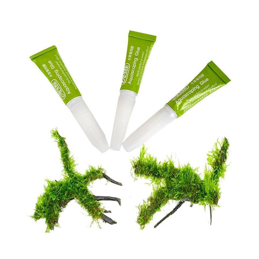 Terrarium Plant and Moss Glue (25 Pack) - Castle Dawn Aquatics