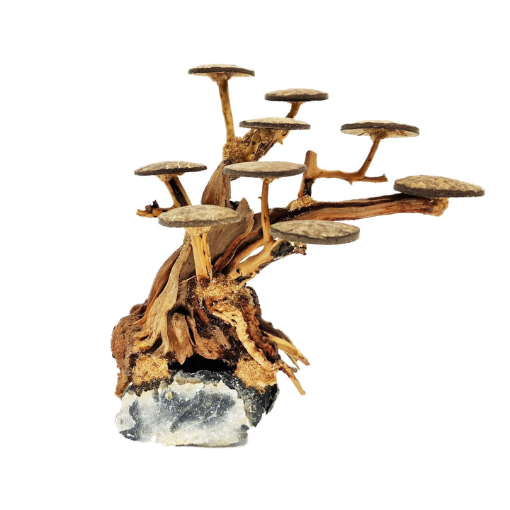 Aquarium Bonsai Tree ''Elm'' Driftwood - Medium - Castle Dawn Aquatics