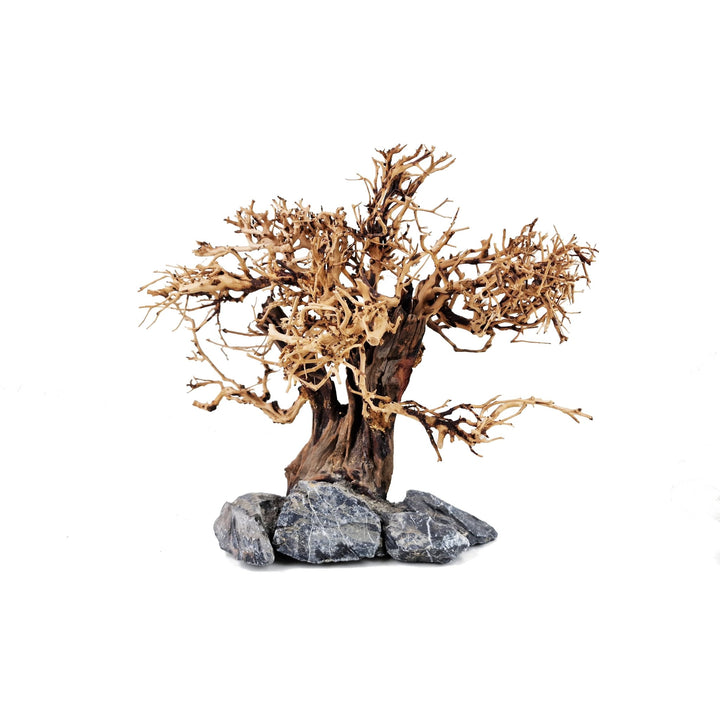 Aquarium Bonsai Tree ''Hinterland'' Driftwood - Large - Castle Dawn Aquatics