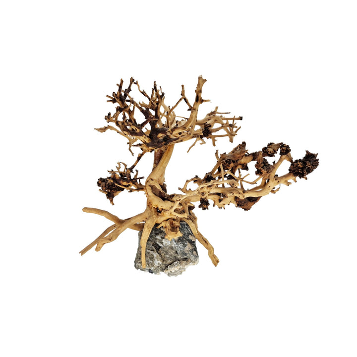 Aquarium Bonsai Tree ''Juniper'' Driftwood - Small - Castle Dawn Aquatics