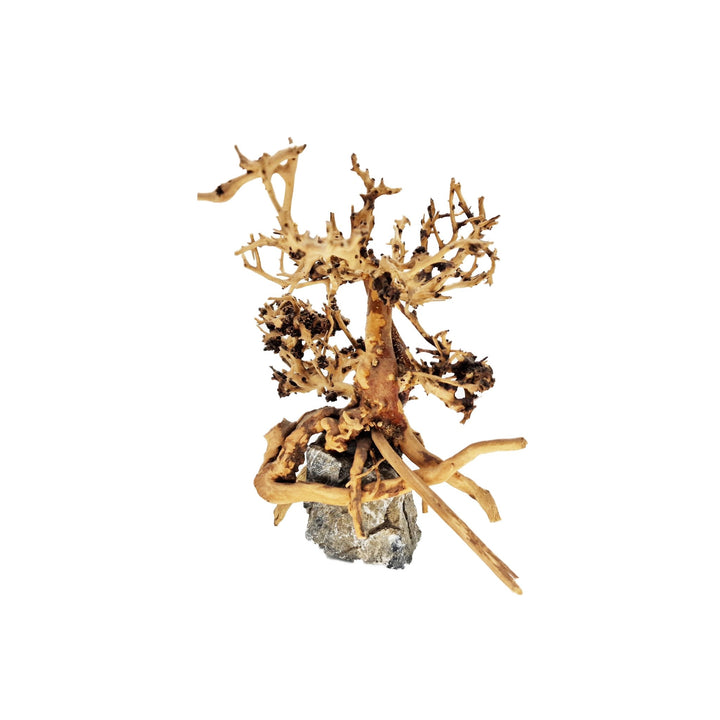 Aquarium Bonsai Tree ''Juniper'' Driftwood - Small - Castle Dawn Aquatics