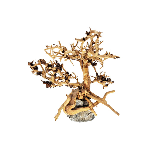 Aquarium Bonsai Tree ''Juniper'' Driftwood - Small - Castle Dawn Aquatics