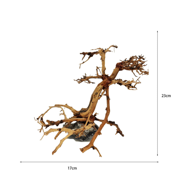 Aquarium Bonsai Tree ''Mirage'' Driftwood - Small - Castle Dawn Aquatics