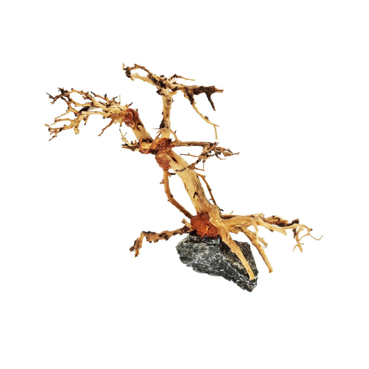 Aquarium Bonsai Tree ''Mirage'' Driftwood - Small - Castle Dawn Aquatics