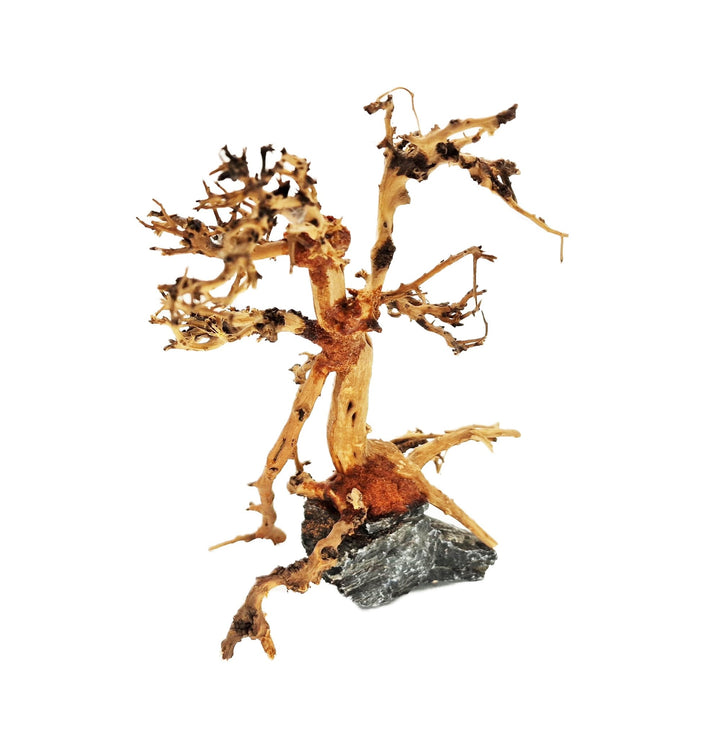 Aquarium Bonsai Tree ''Mirage'' Driftwood - Small - Castle Dawn Aquatics