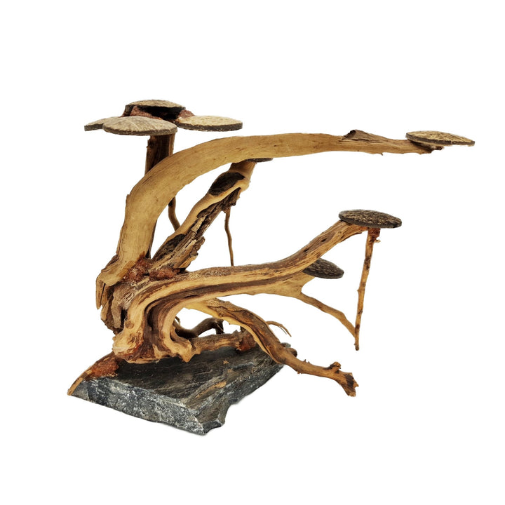 Aquarium Bonsai Tree ''No Mans Land'' Driftwood - Medium - Castle Dawn Aquatics