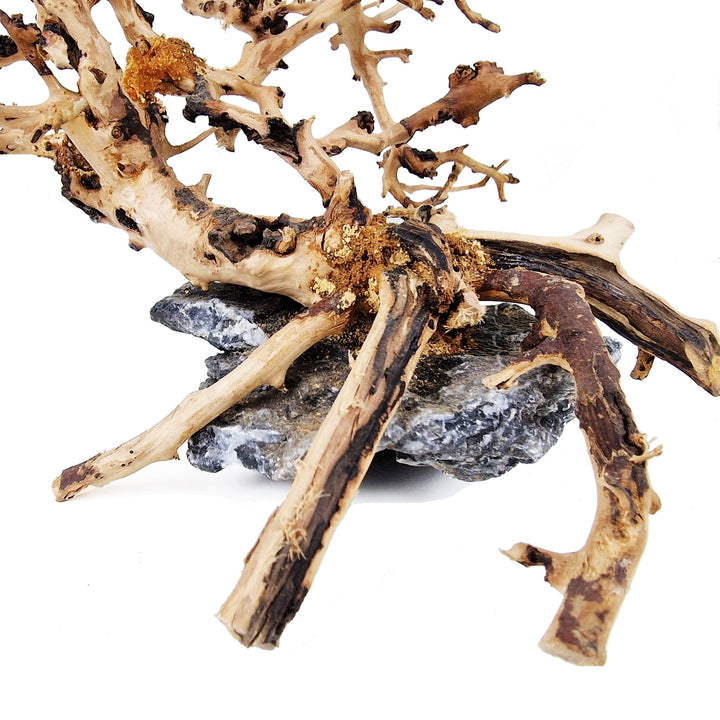 Aquarium Driftwood ''Cliff Hanger'' Bonsai Tree - Small - Castle Dawn Aquatics