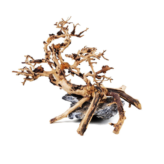 Aquarium Driftwood ''Cliff Hanger'' Bonsai Tree - Small - Castle Dawn Aquatics