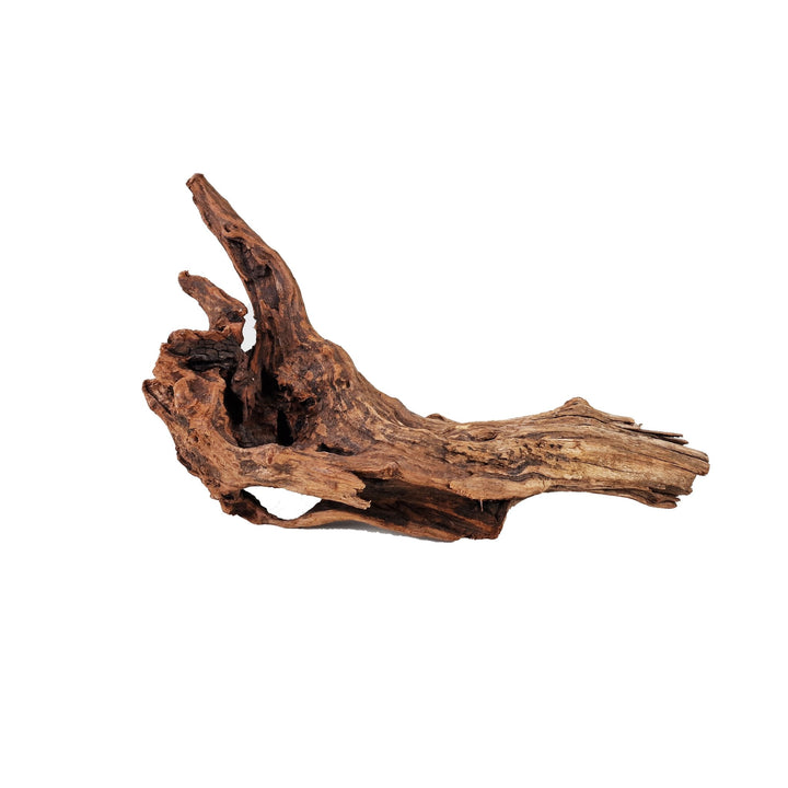 Aquarium Hand selected Driftwood ''Triceratops Cave' - Large - Castle Dawn Aquatics