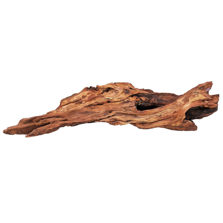 Aquarium Hand selected Driftwood ''Triceratops Cave' - Large - Castle Dawn Aquatics