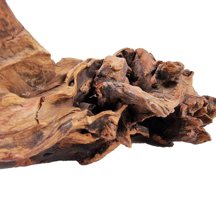 Aquarium Hand selected Driftwood ''Triceratops Cave' - Large - Castle Dawn Aquatics