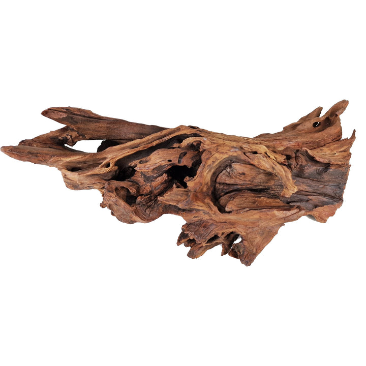 Aquarium Hand selected Driftwood ''Triceratops Cave' - Large - Castle Dawn Aquatics