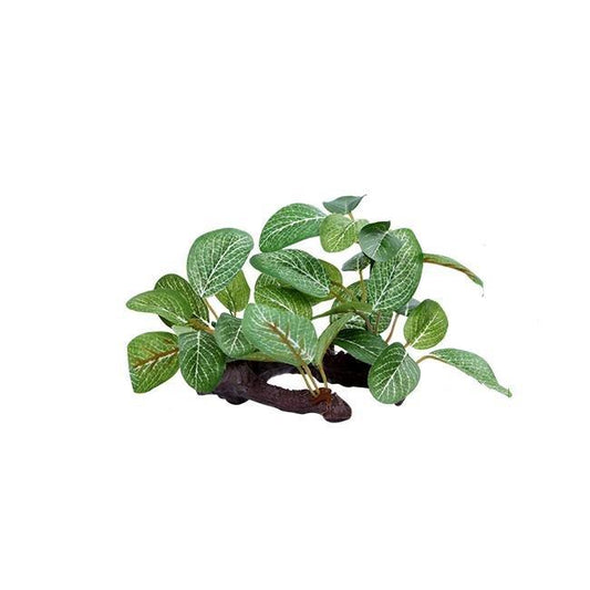 Artificial Aquarium Small Plastic Silk Lobelia Plant On Wood - Castle Dawn AquaticsArtificial Aquarium Plastic Fish Tank Plants