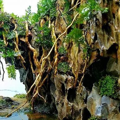 Bonsai Tree Accent Aquascaping Vine Roots - Castle Dawn AquaticsHardscape Materials