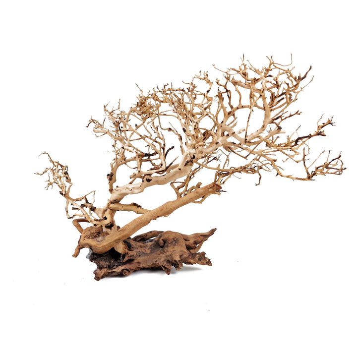 Bonsai Tree ''Wind Swept'' Aquarium Driftwood - Extra Large - Castle Dawn Aquatics