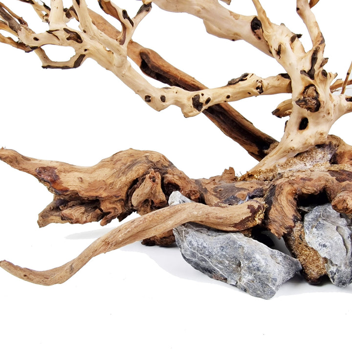 Bonsai Tree ''Wind Swept'' Aquarium Driftwood - Extra Large - Castle Dawn Aquatics