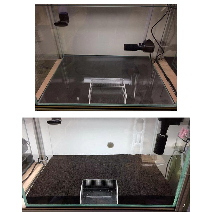 Castle Dawn Aquatics Acrylic Feeding Area - Castle Dawn AquaticsAquarium Fish Breeding Equipment