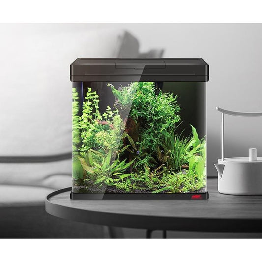 Castle Dawn Aquatics Complete Betta 5.2 Gallon Betta Aquarium Tank Setup - Castle Dawn AquaticsPromotion