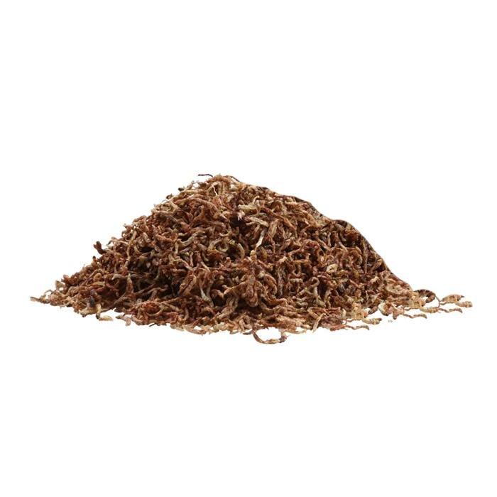 Castle Dawn Aquatics GLYCER Premium Freeze Dried Bloodworm - Castle Dawn AquaticsFish Food