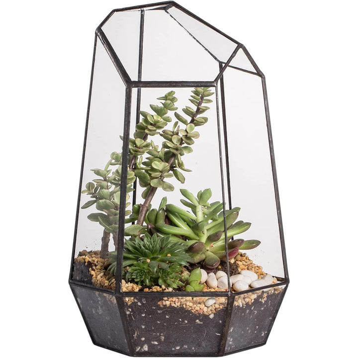 CDA Geometric Glass Open Terrarium - Castle Dawn Aquatics