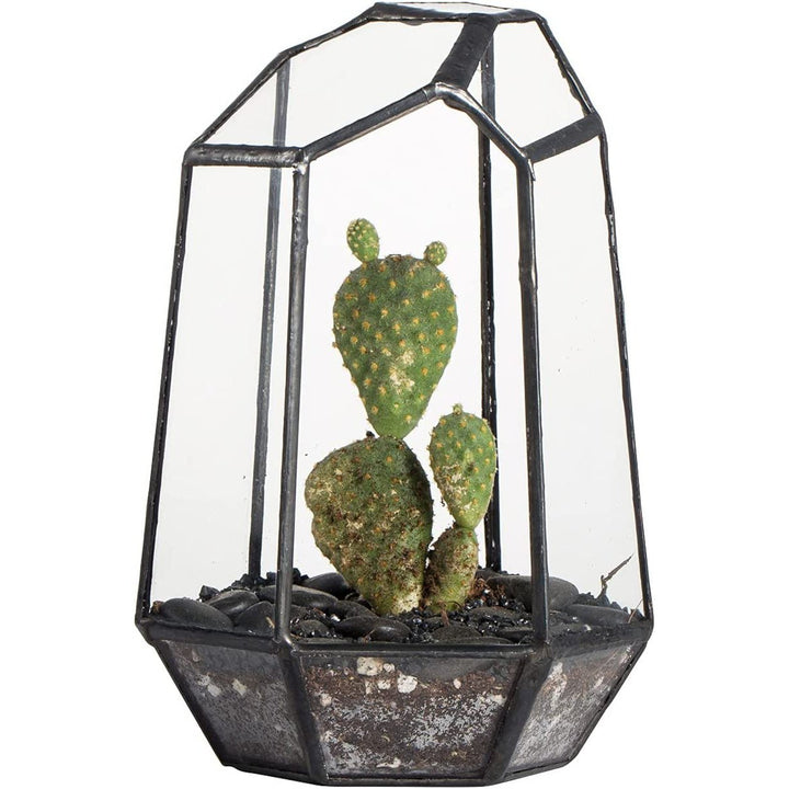 CDA Geometric Glass Open Terrarium - Castle Dawn Aquatics