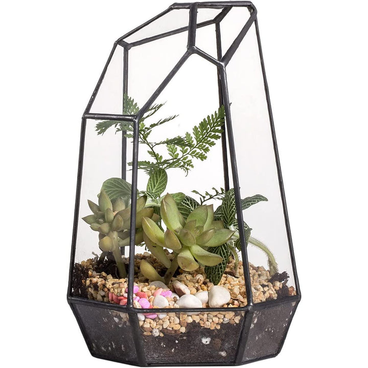 CDA Geometric Glass Open Terrarium - Castle Dawn Aquatics