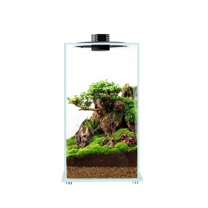 Enclosed Large Terrarium (FD-200 / FD-250) - Castle Dawn Aquatics