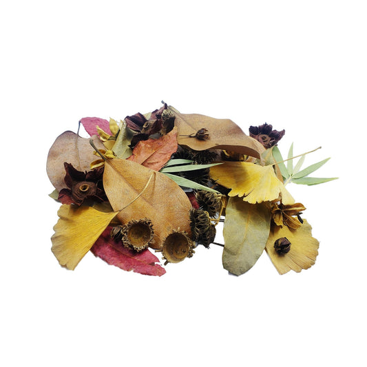 Forest Floor Leaf Litter Pack - Castle Dawn Aquatics