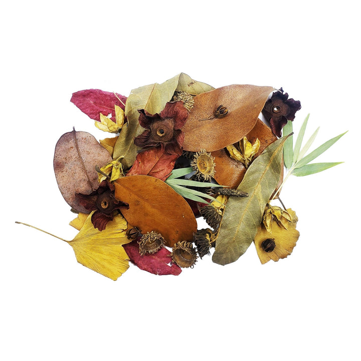 Forest Floor Leaf Litter Pack - Castle Dawn Aquatics