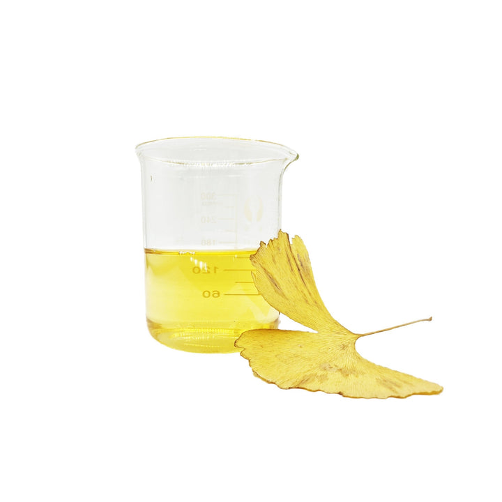 Golden Gingko Leaves (50 Pack) - Castle Dawn Aquatics