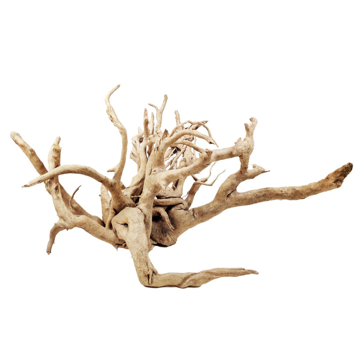 Hand Selected Spider Wood Azalea Root - Extra Large - Castle Dawn Aquatics