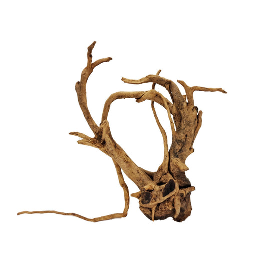 Hand Selected Spider Wood Azalea Root - Large - Castle Dawn Aquatics