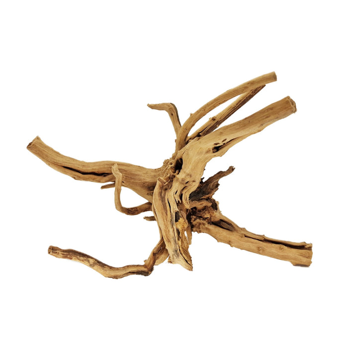 Hand Selected Spider Wood Azalea Root - Large - Castle Dawn Aquatics