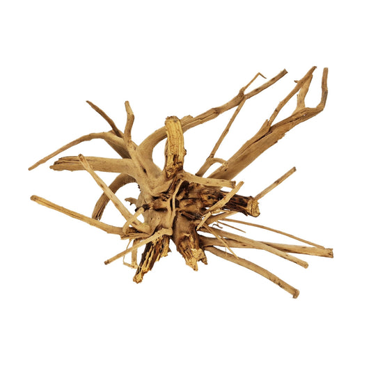 Hand Selected Spider Wood Azalea Root - Large - Castle Dawn Aquatics