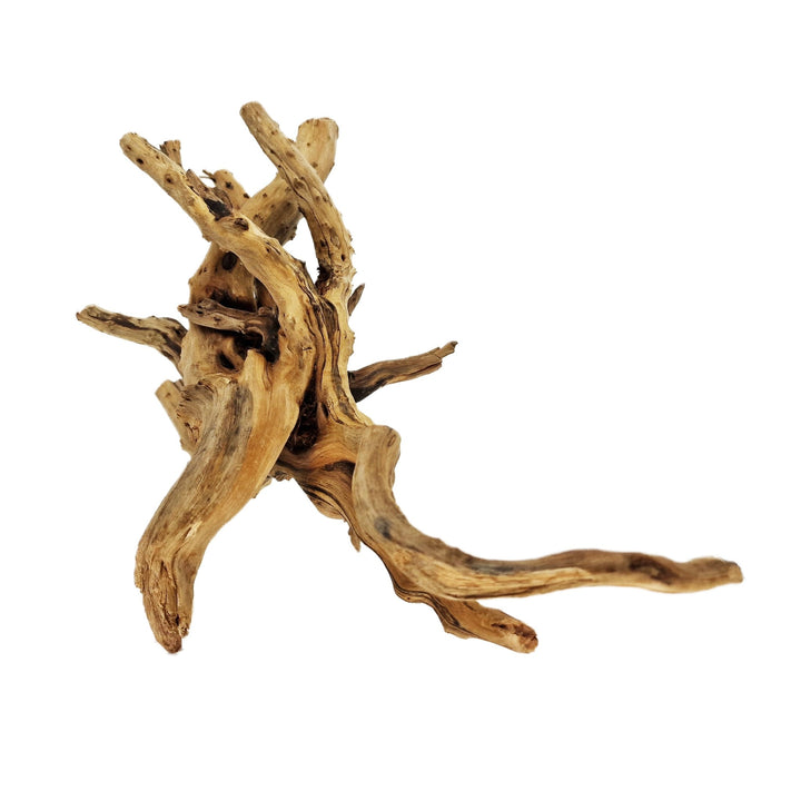 WYSIWYG Hardscape- Hand Selected Spider Wood Azalea Root - Medium ...